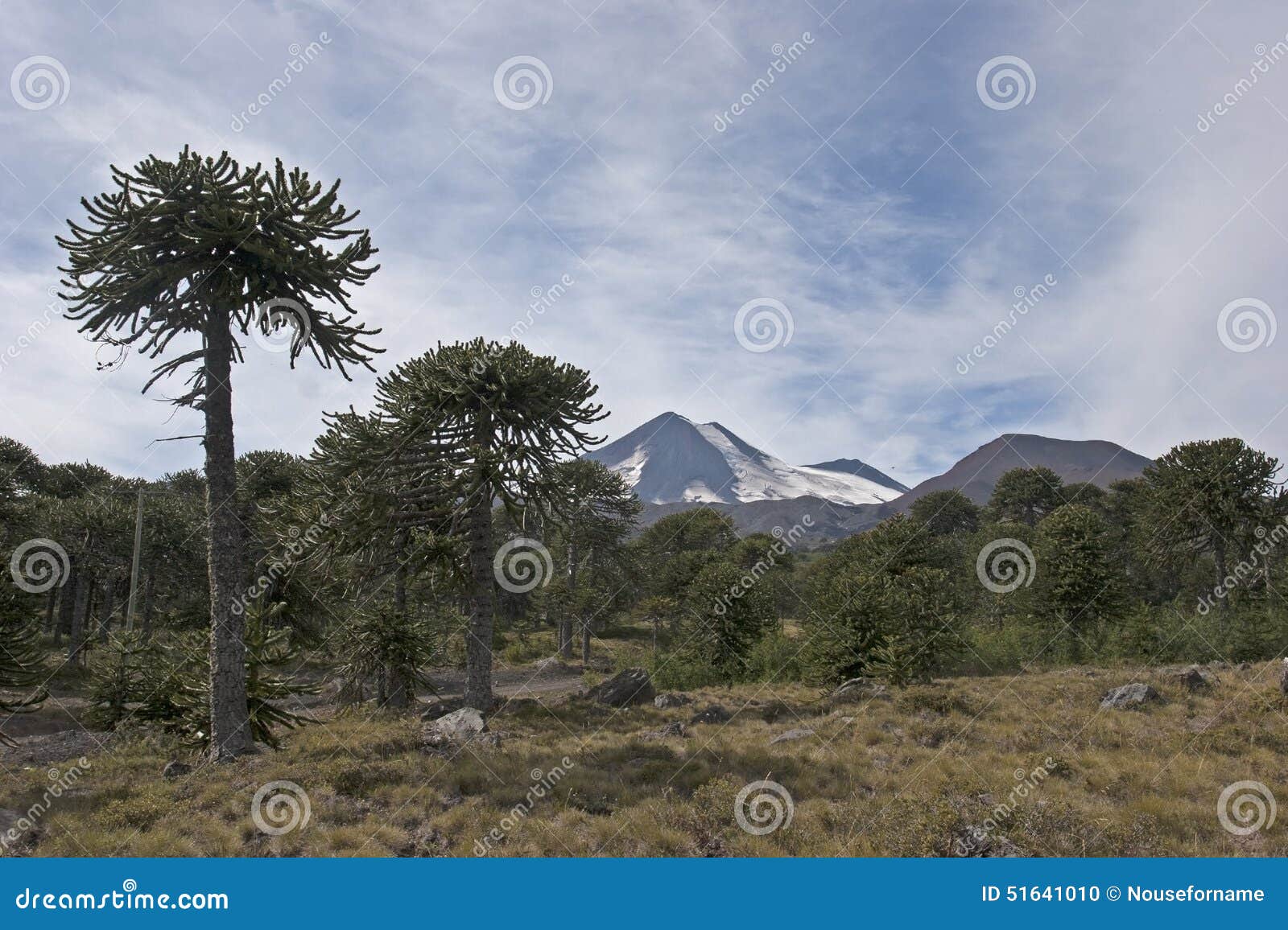 volcan llaima in conguillo nacional park, chile