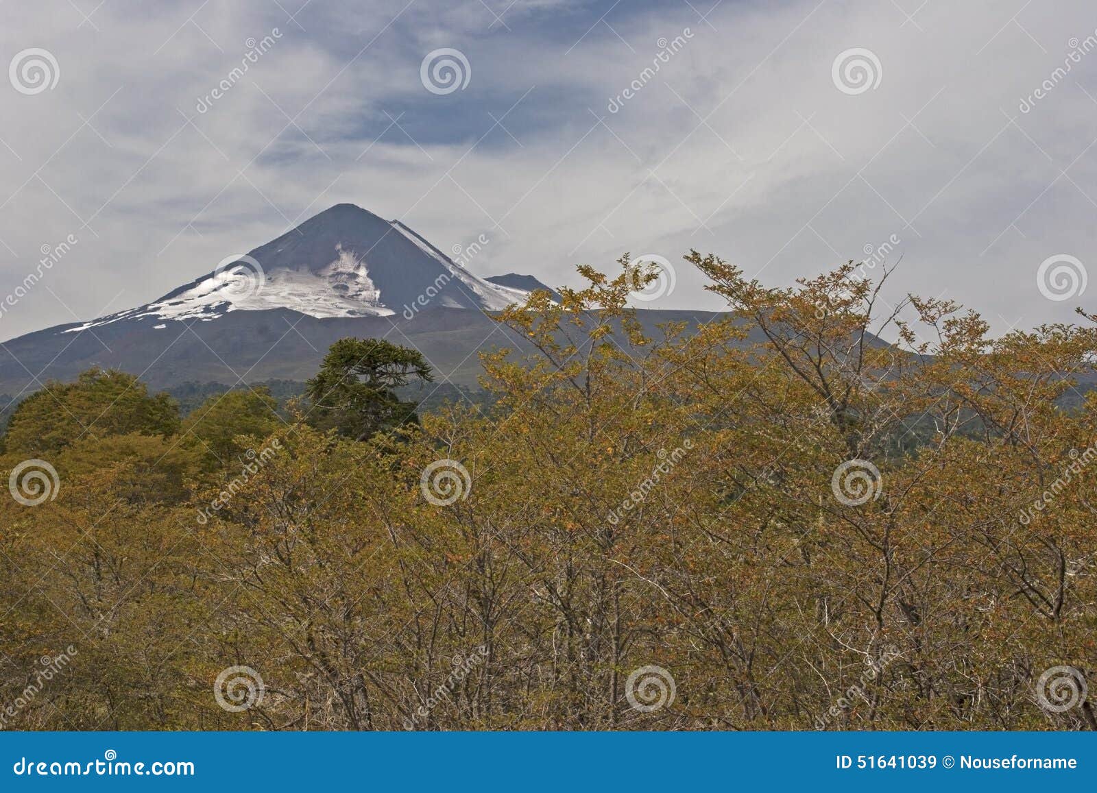 volcan llaima in conguillo nacional park, chile