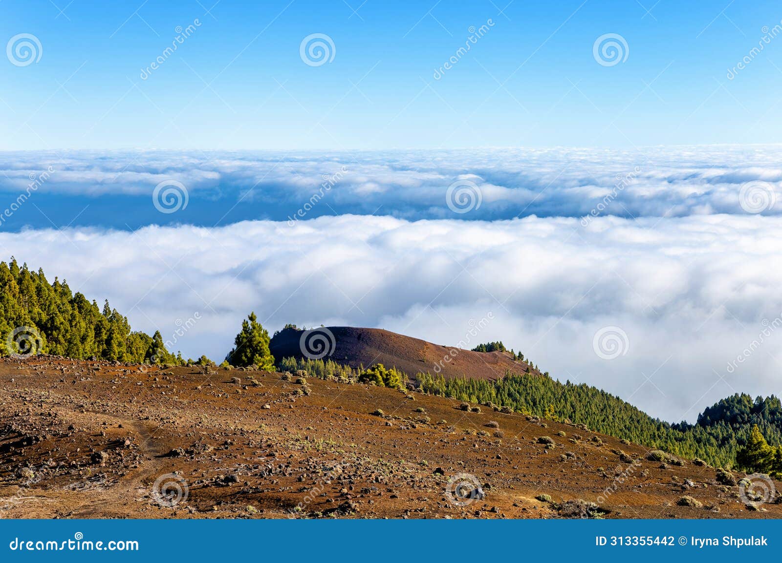 volcanic landscape along ruta de los volcanes, cumbre vieja, island la palma, canary islands, spain, europe