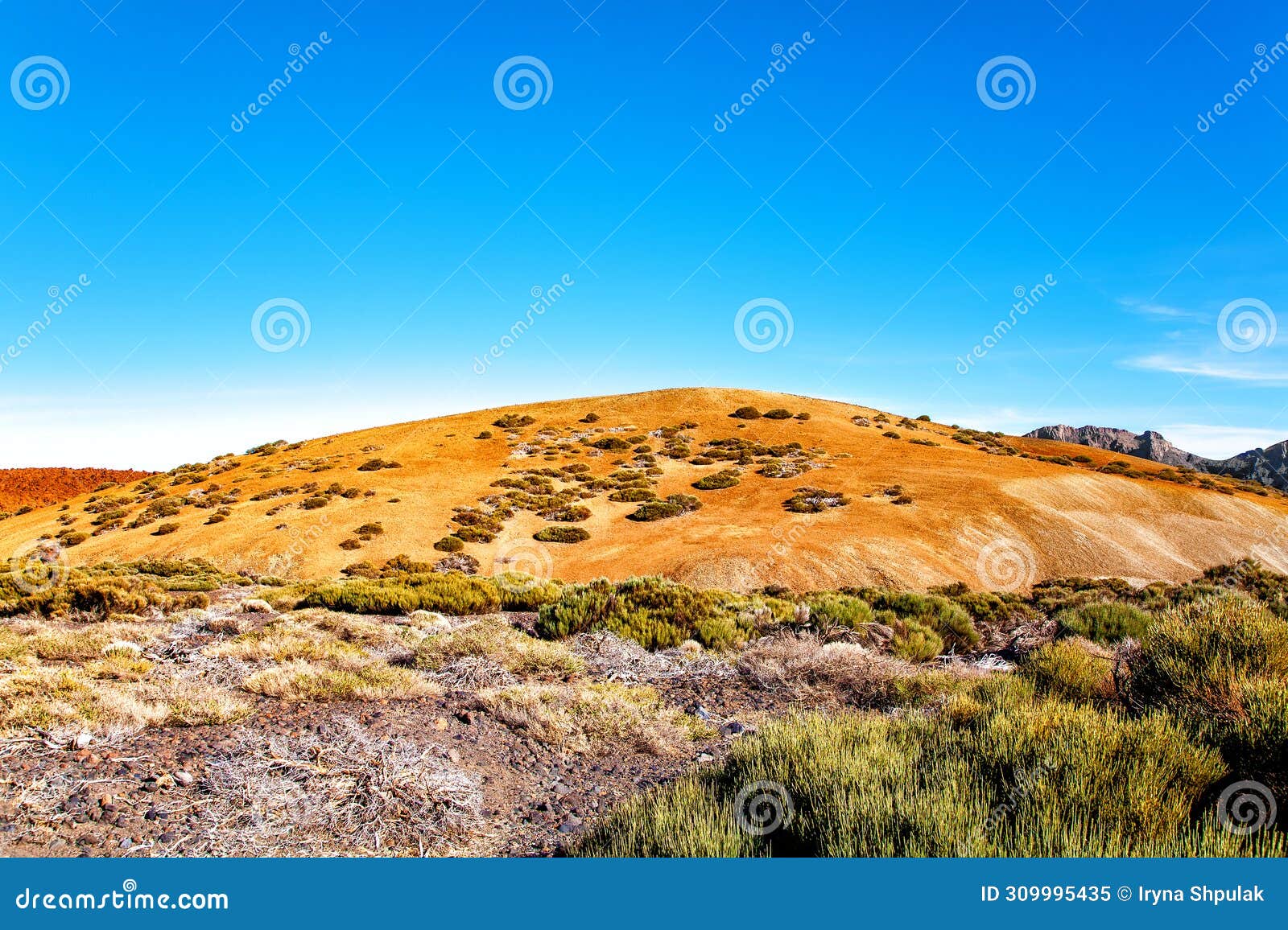 volcanic landscape, island tenerife, canary islands, spain, europe