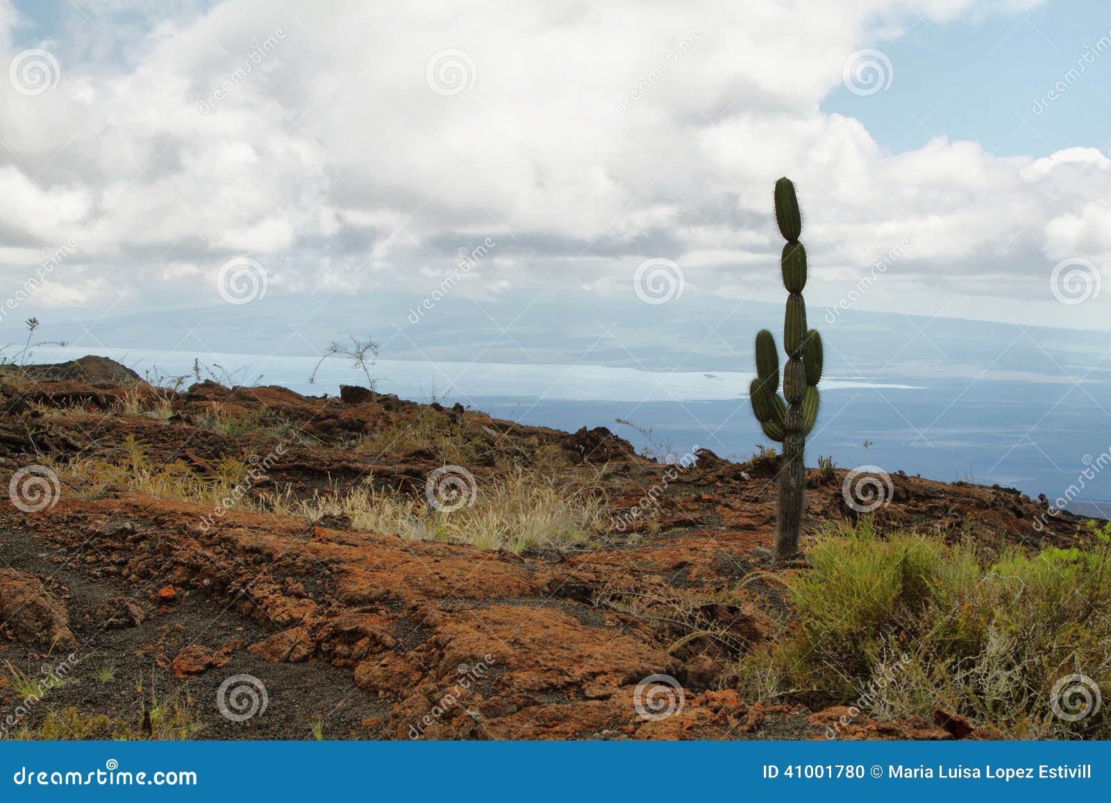 volcanic landscape, sierra negra, galapagos.