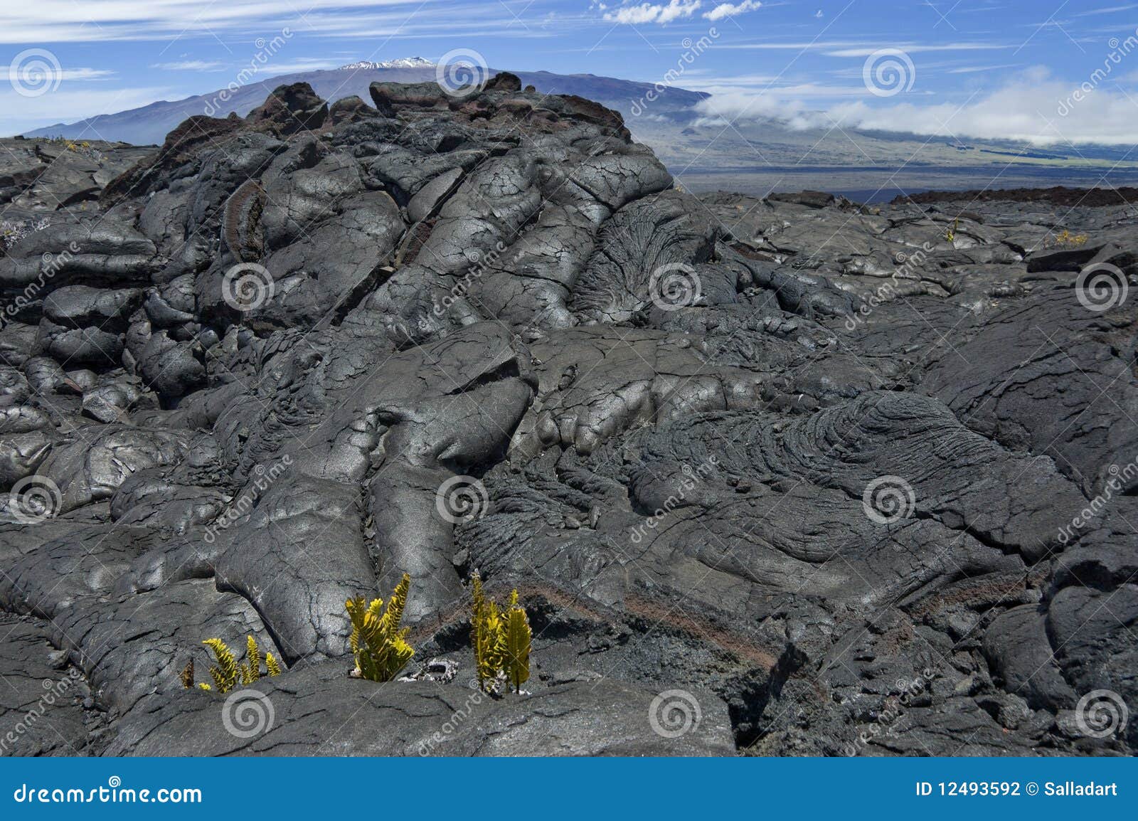 Volcanic Lava at Mauna Loa. Stock Photo Image of texture, volcanic