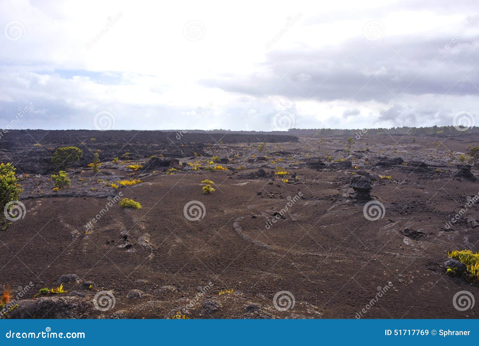 volcanic park, big island, hawaii