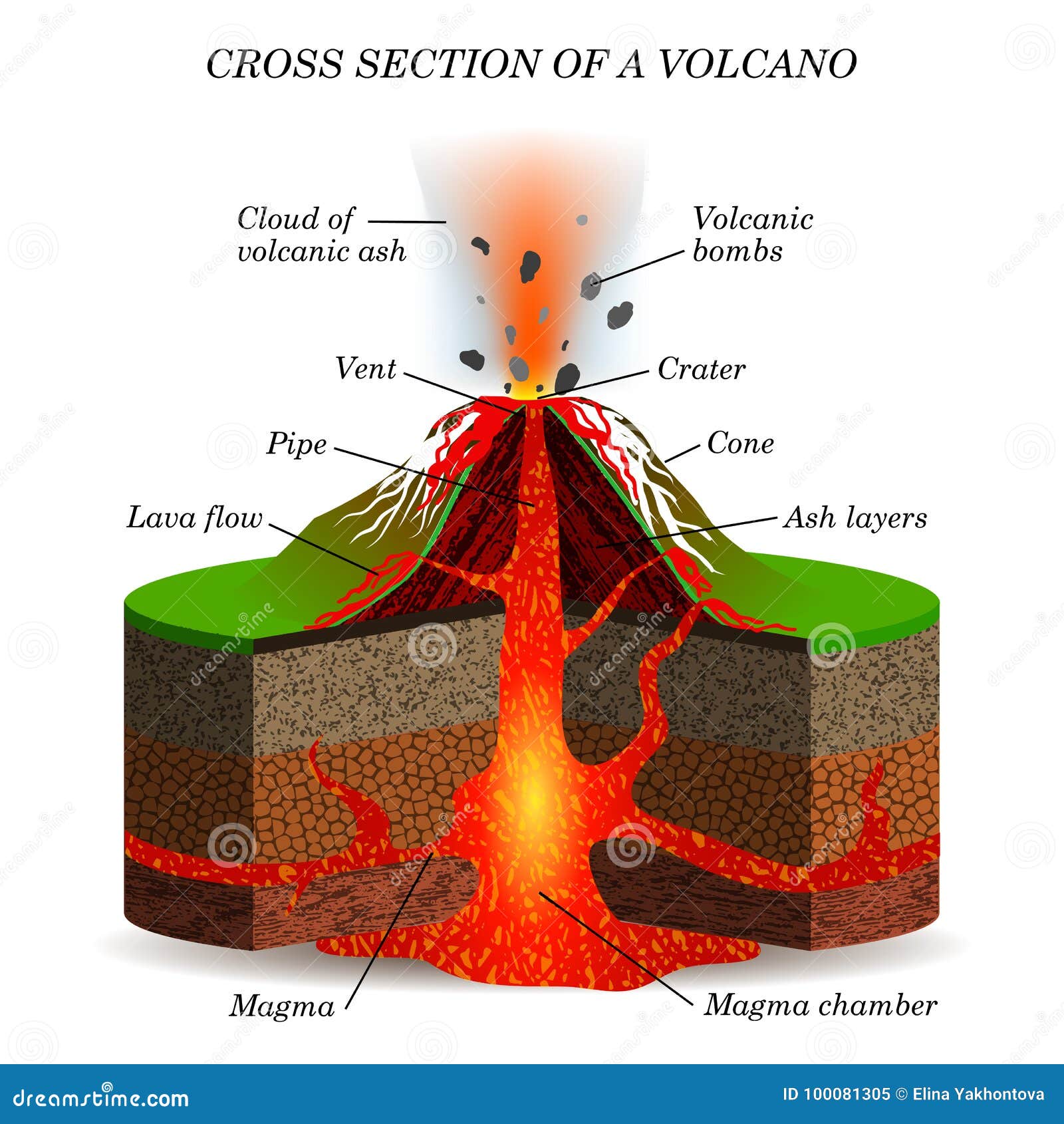 volcano igneous eruption in the cross section. education scientific scheme