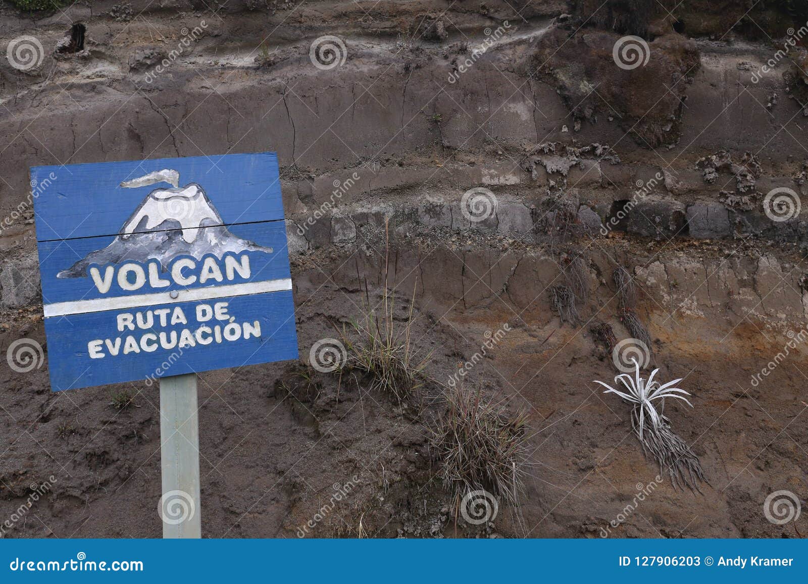 volcano at national park los nevados in colombia