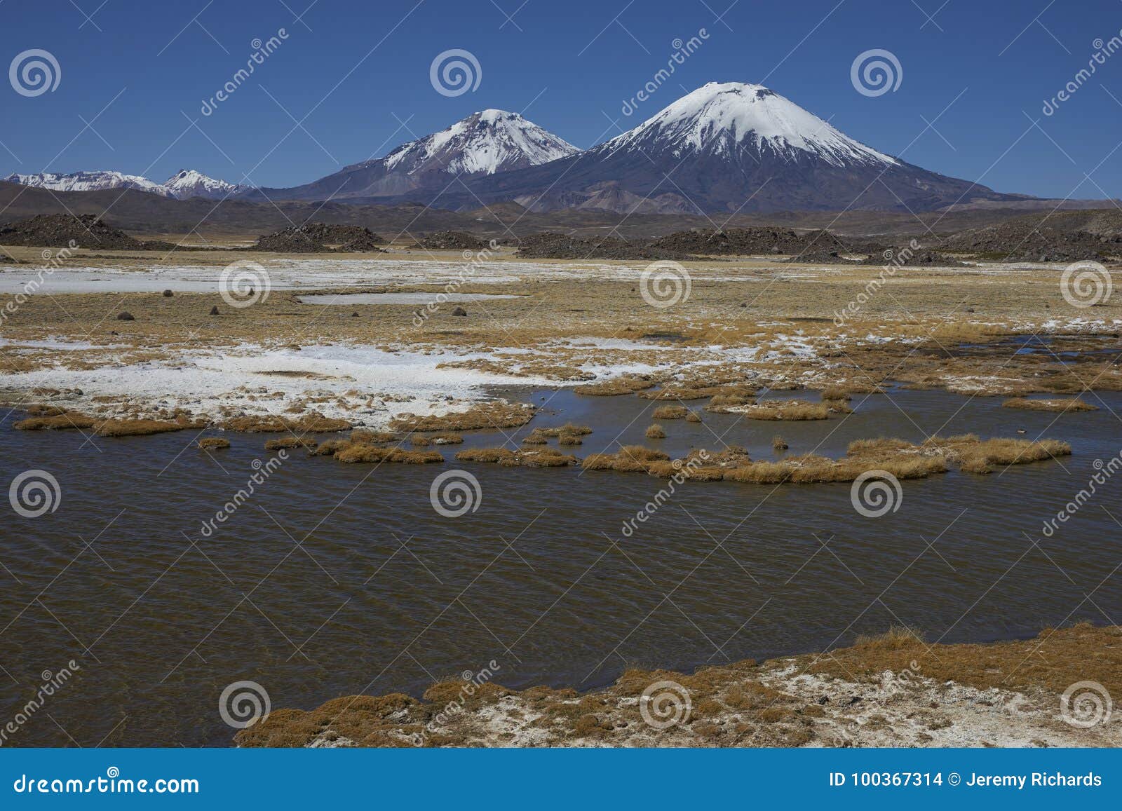 Volcanoes in Lauca National Park Stock Photo - Image of grass ...