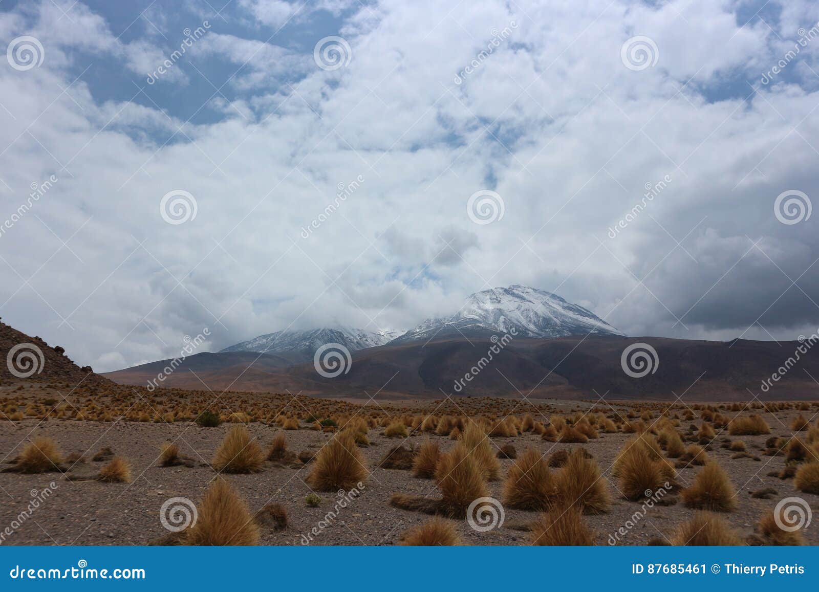 Volcanos in the Atacama Desert Stock Image - Image of hedionda, condor ...