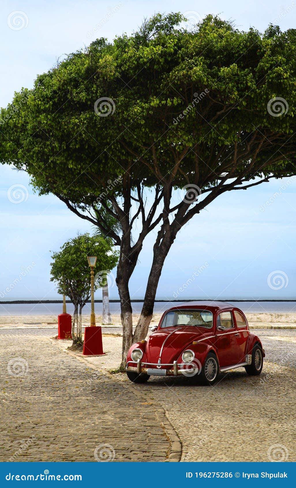 volkswagen beetle on the street of porto seguro, brazil, south america