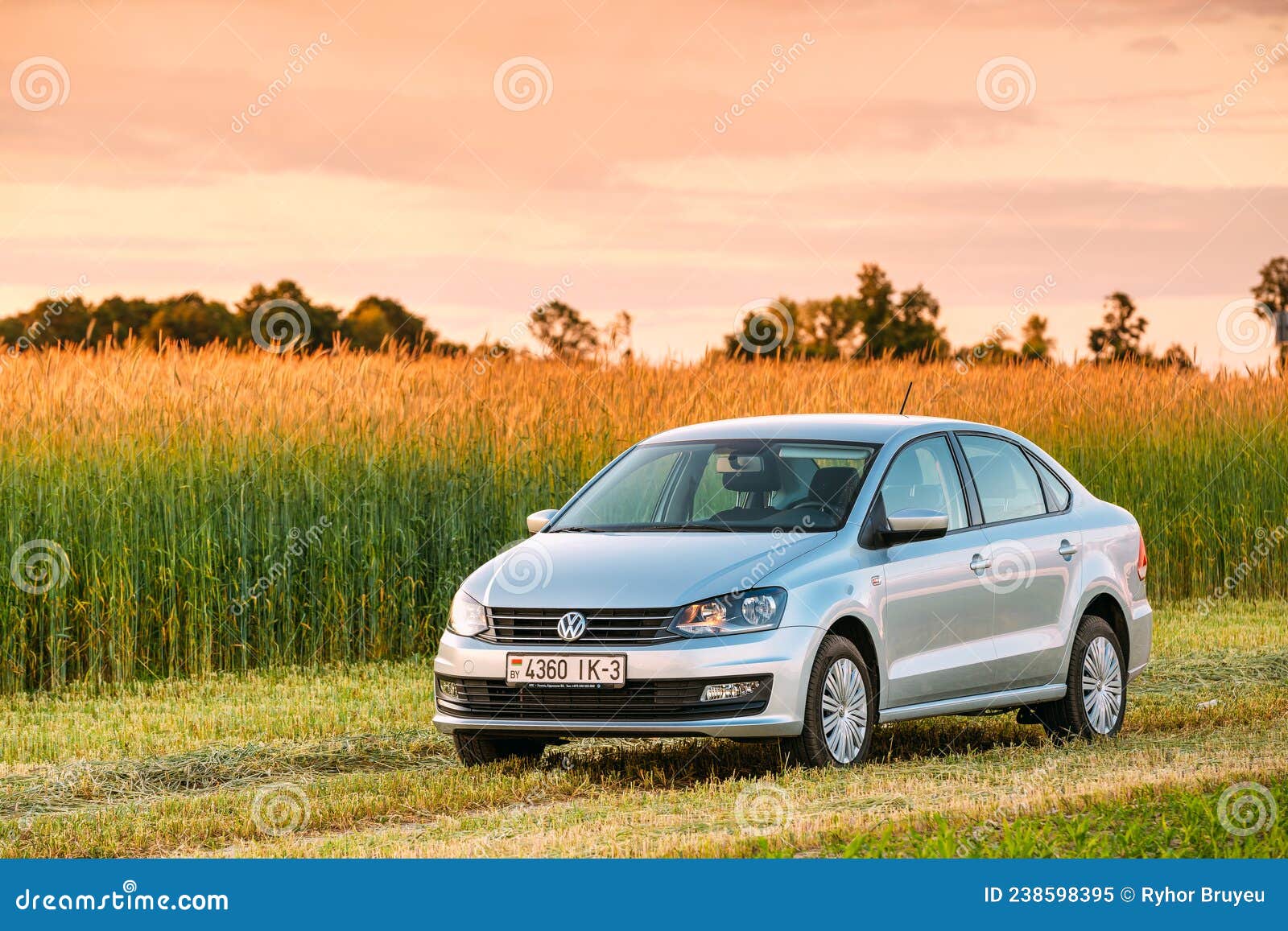 Volkswagen Polo Car Parking on Wheat Field. Sunset Sunrise Dramatic Sky ...