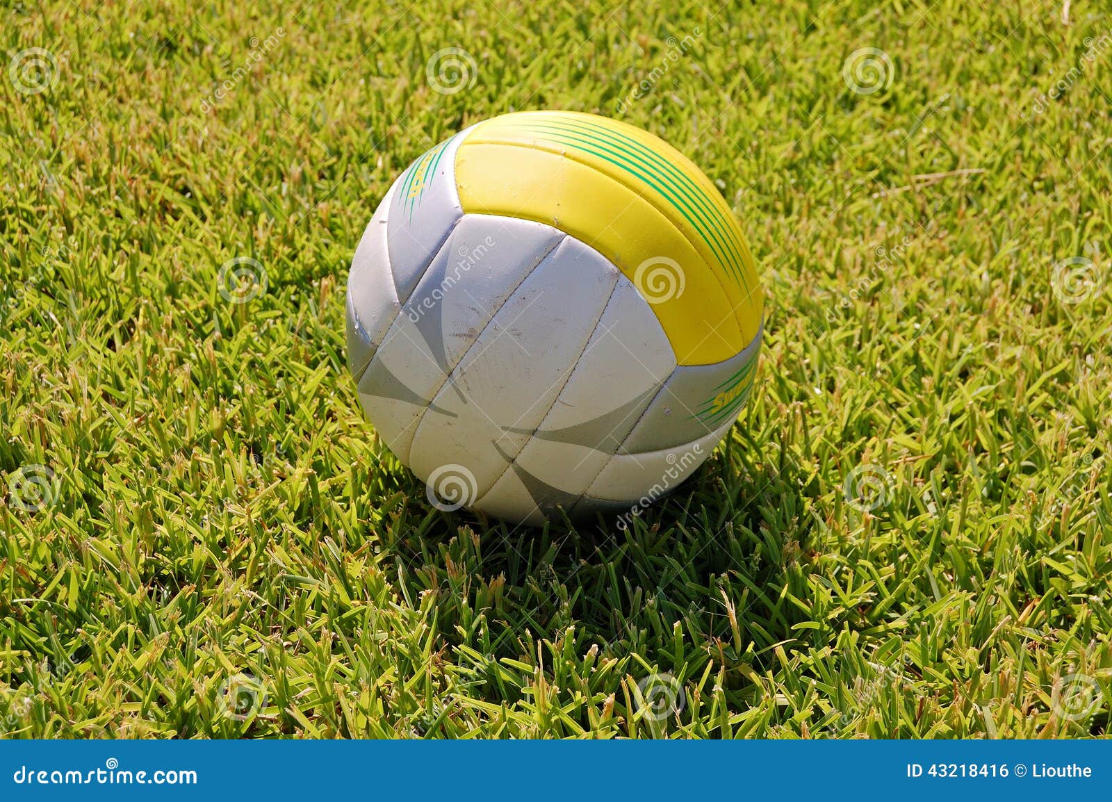Volley ball on grass stock photo. Image of used, sport 43218416