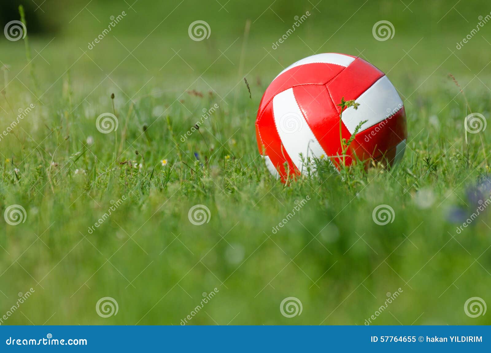 Volley ball on Grass stock image. Image of clean, object 57764655
