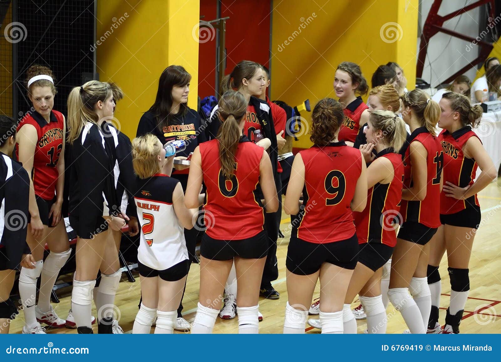 Volleyball editorial stock image. Image of guelph, competition 6769419