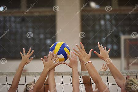 Volleyball stock photo. Image of jump, group, healthy - 52212888