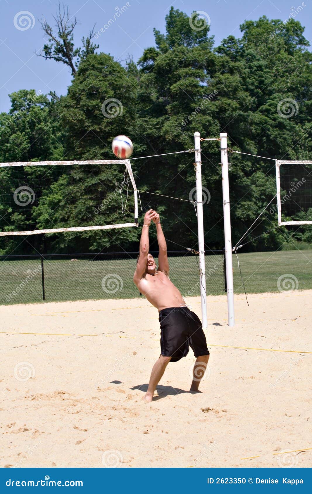 Volleyball Guy stock photo. Image of friends, handsome 2623350