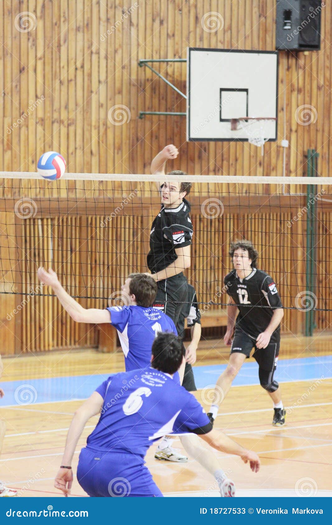 Volleyball match editorial stock photo. Image of referee - 18727533