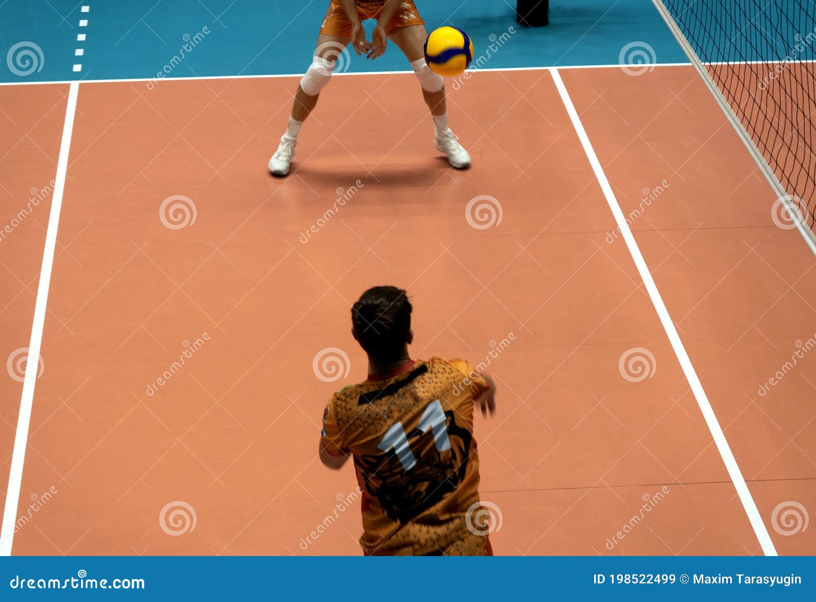 Free Images : play, train, young, training, exercise, together, movement,  competition, sporty, championship, network, fairness, athlete, active, ball  sports, playing field, team sport, volley, sports hall, team sports,  volleyball field, volleyball net