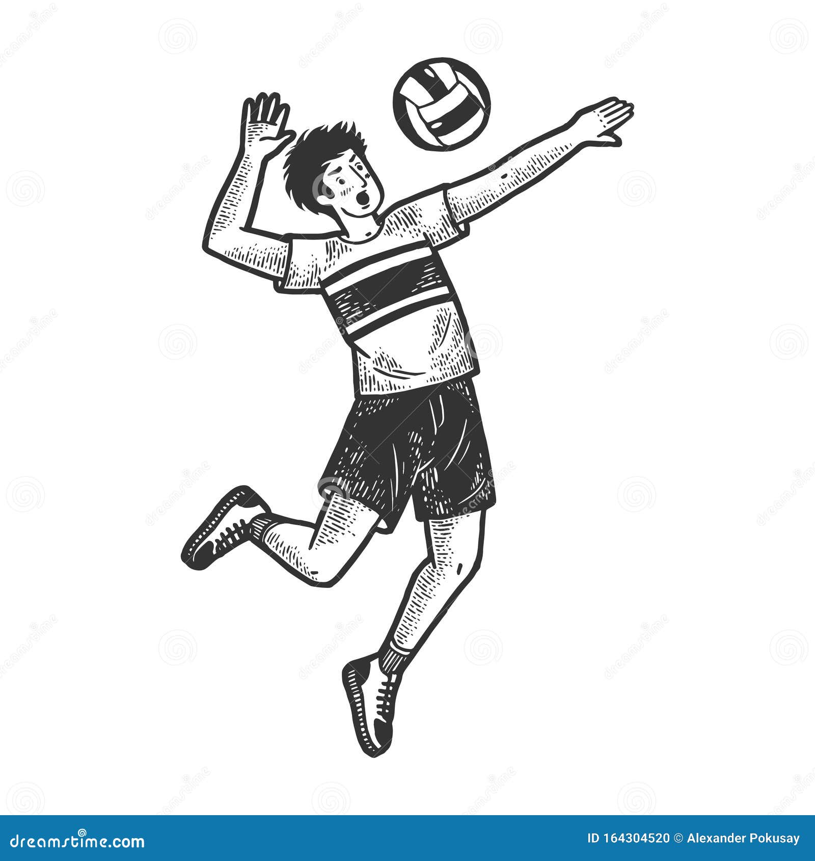 Volleyball Sketch Vector Illustration | CartoonDealer.com #28471356