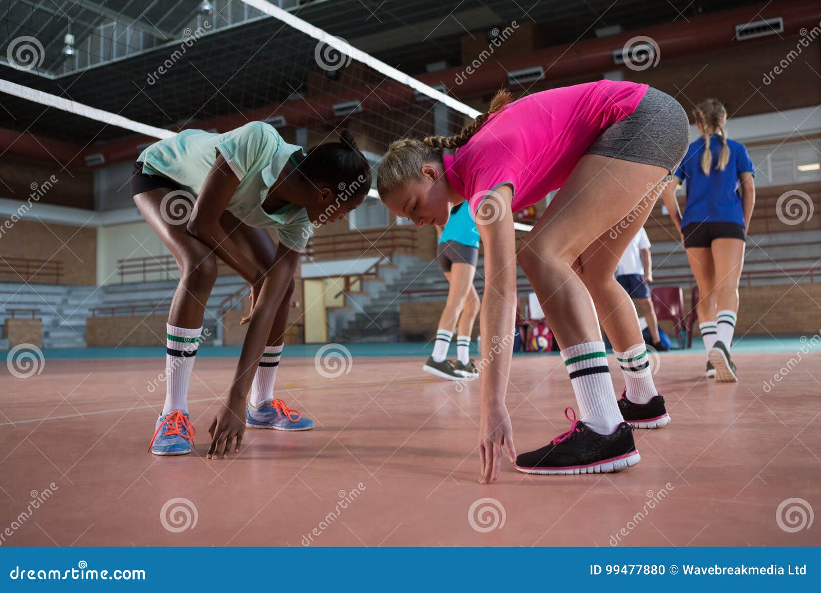 Volleyball Players Performing Stretching Exercise Stock Photo Image