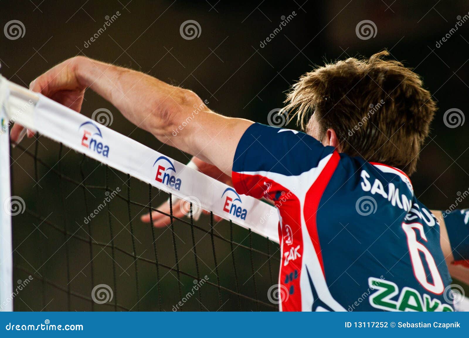 Volleyball Polish Cup Finals Editorial Photography Image of ball