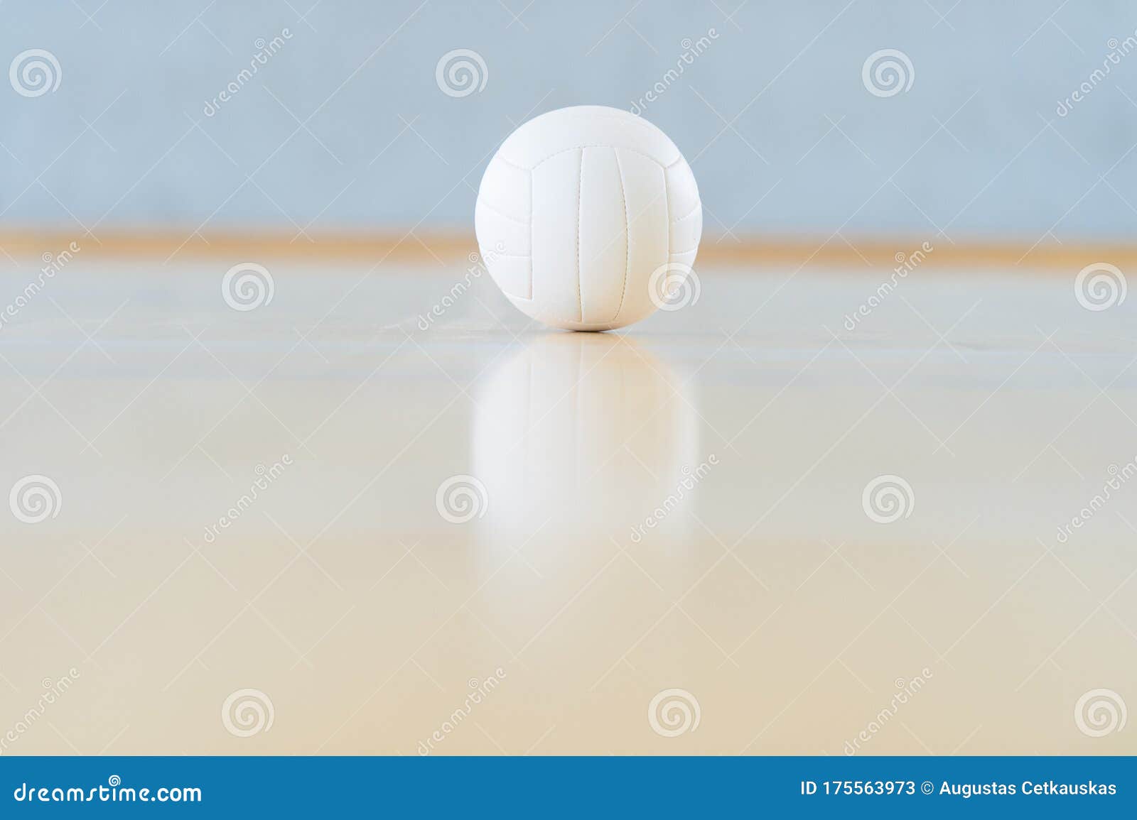 A Volleyball and Reflection on a Wooden Floor Stock Image Image of