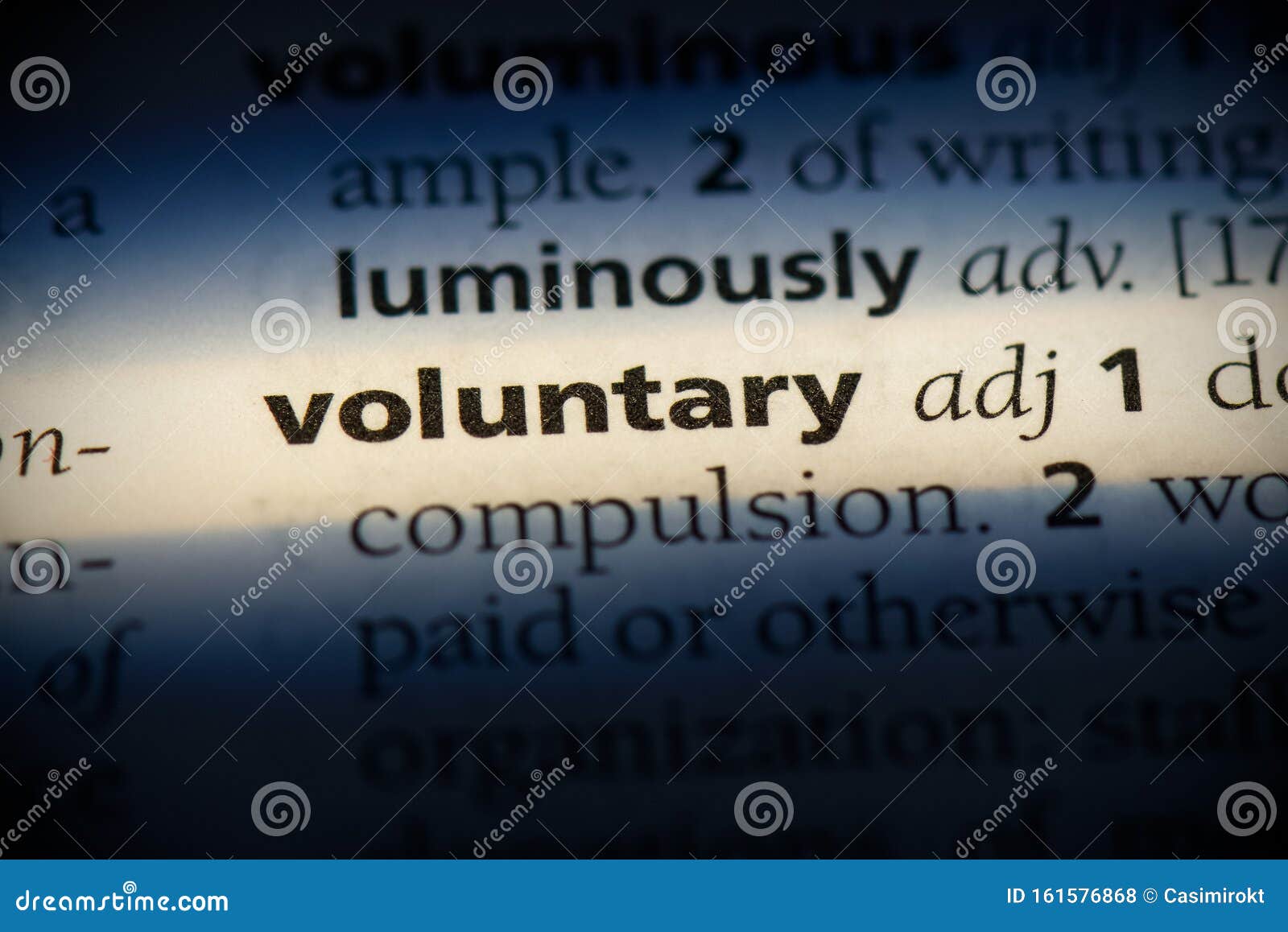 Voluntary stock photo. Image of english, idea, word 161576868