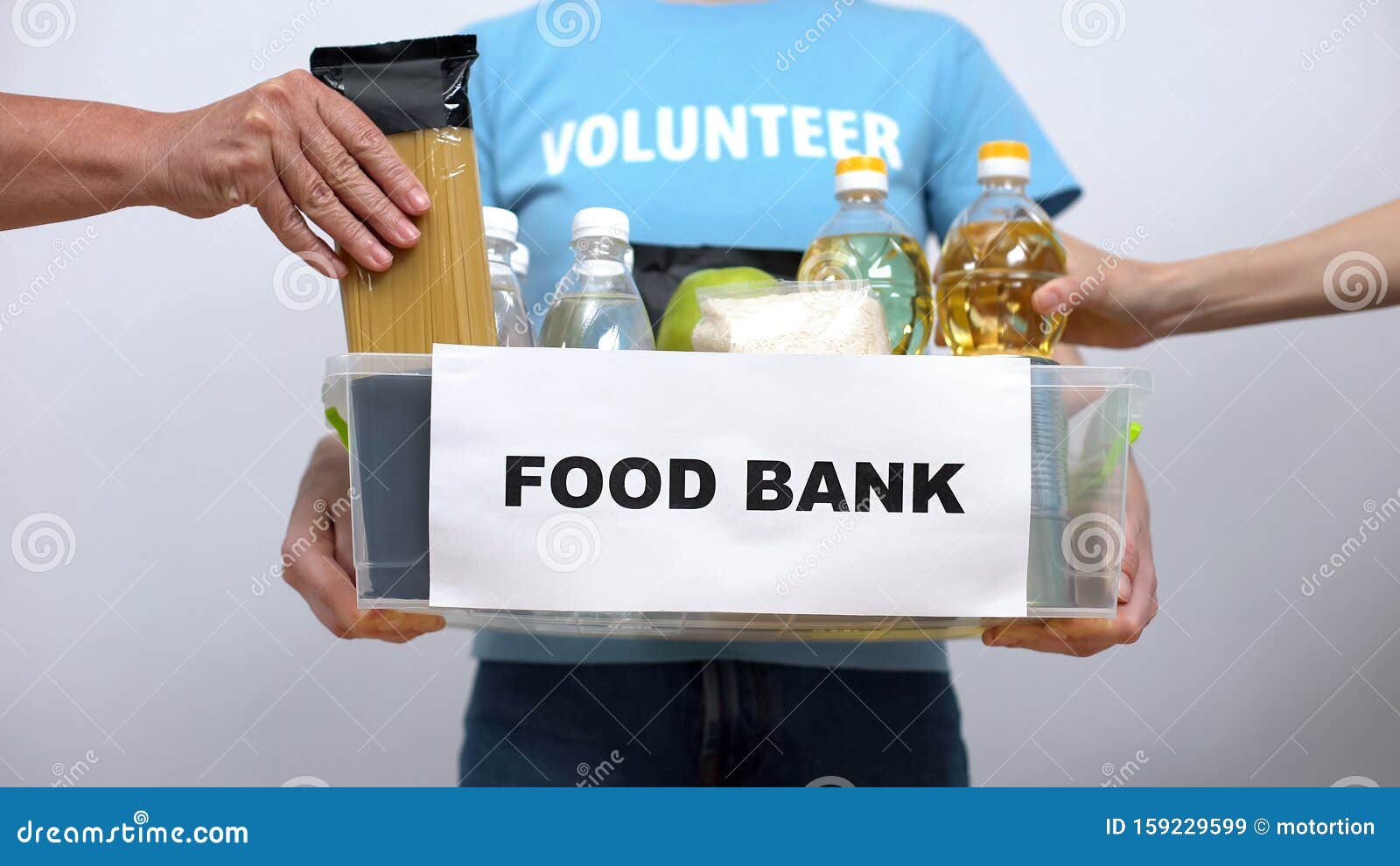 volunteer holding food bank container, hands putting provision in box, help