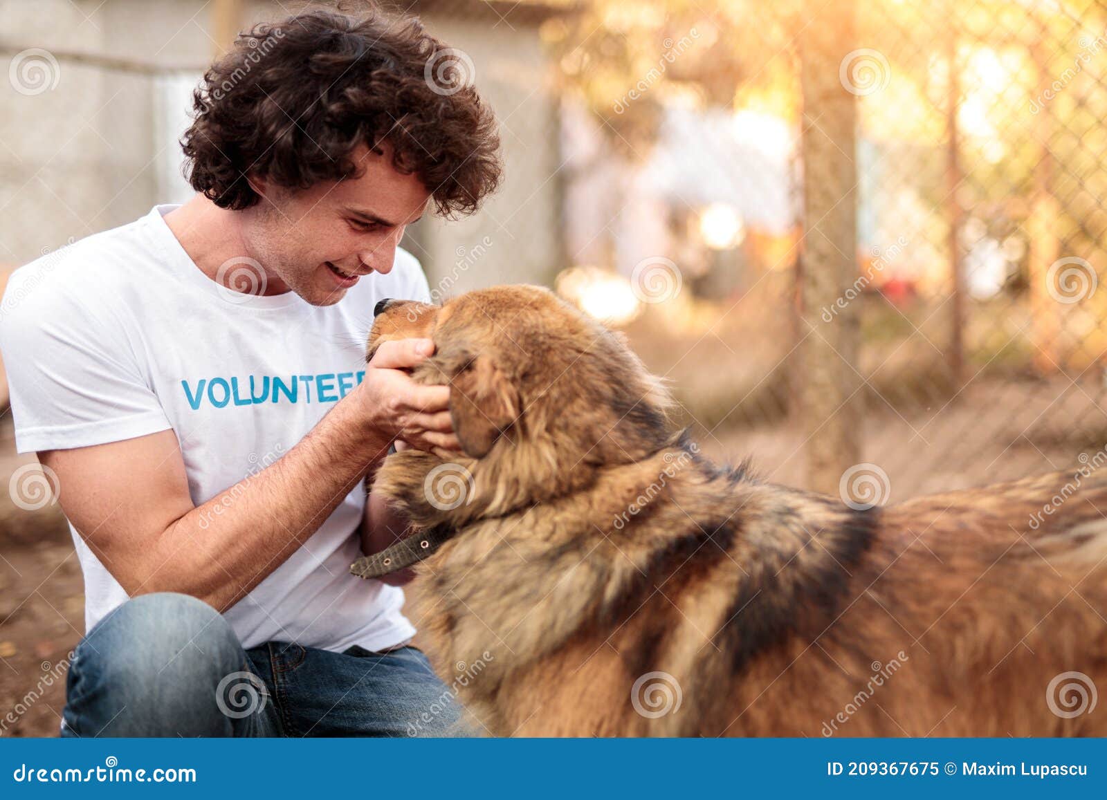 158 Animal Shelter Staff Stock Photos - Free & Royalty-Free Stock Photos from Dreamstime 158 Animal Shelter Staff Stock Photos - Free & Royalty-Free Stock Photos from Dreamstime