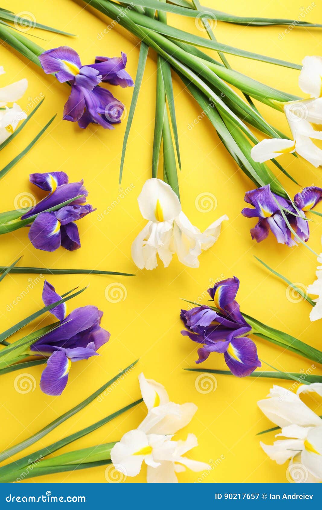 Von Hand Abbildung Stockbild Bild von nahaufnahme, stamm