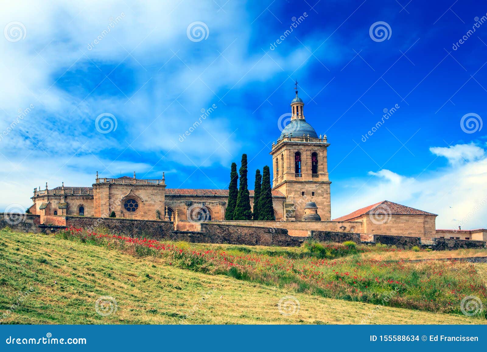 the cathedral of ciudad rodrigo, province salamanca, spain.