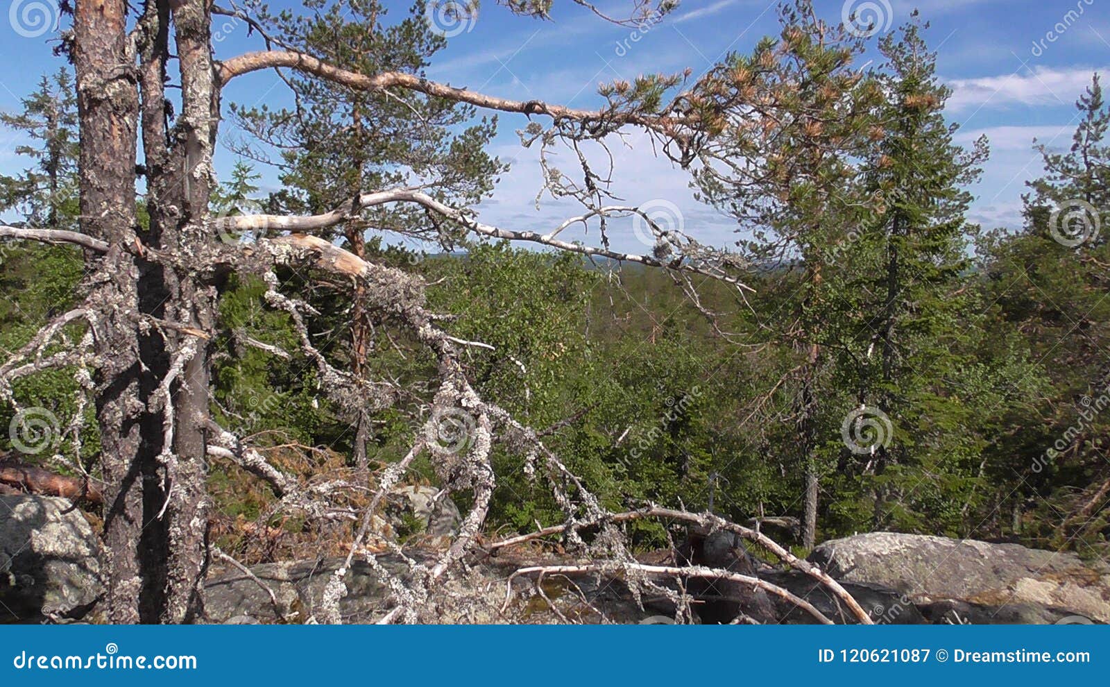vottovaara karelia - view from the rock