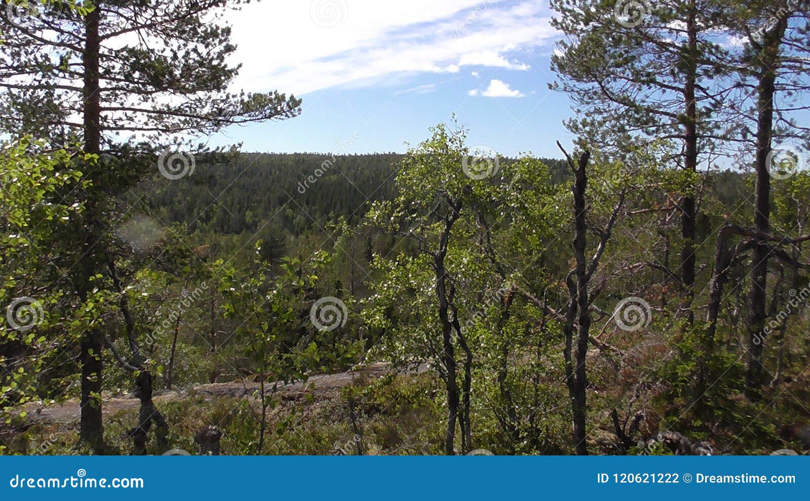 vottovaara karelia - view from the rock