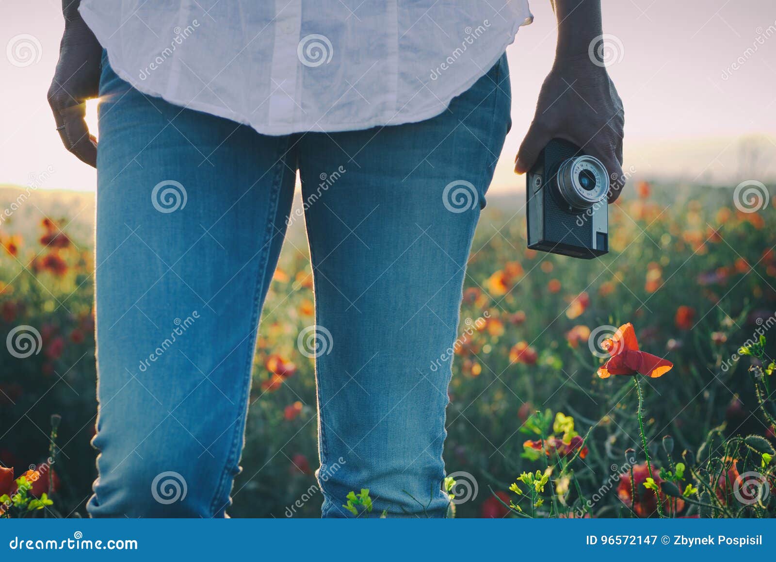 Oude retro camera in de hand die van een vrouw zich op een bloeiend papavergebied bevinden Jonge vrouw die van zomer op papavergebied genieten