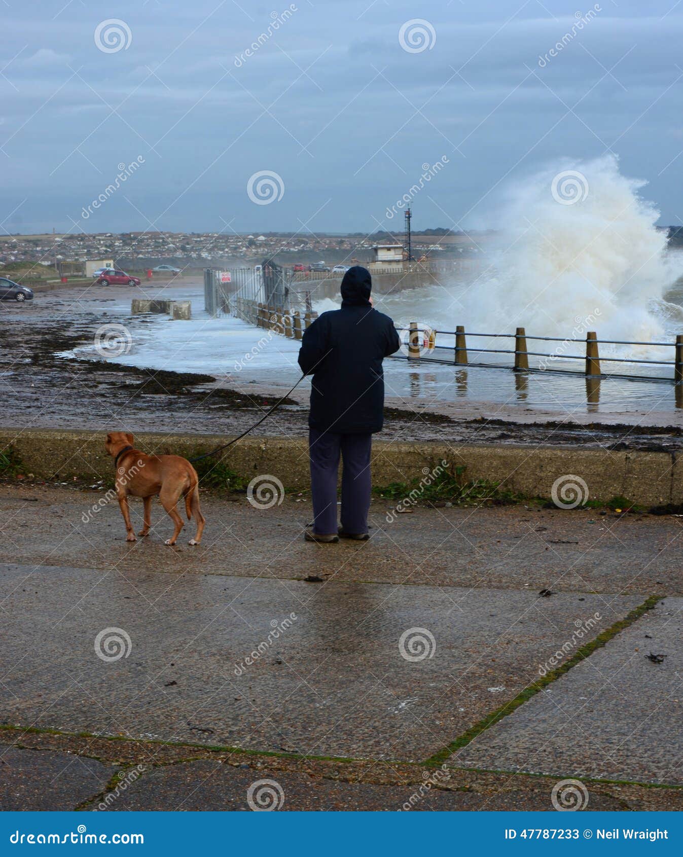 Vrouw en hond het letten op verpletterende golven van een de winteronweer. Een vrouw die haar golven van hondhorloges opstappen verplettert tegen een havenmuur tijdens een de winteronweer in het UK