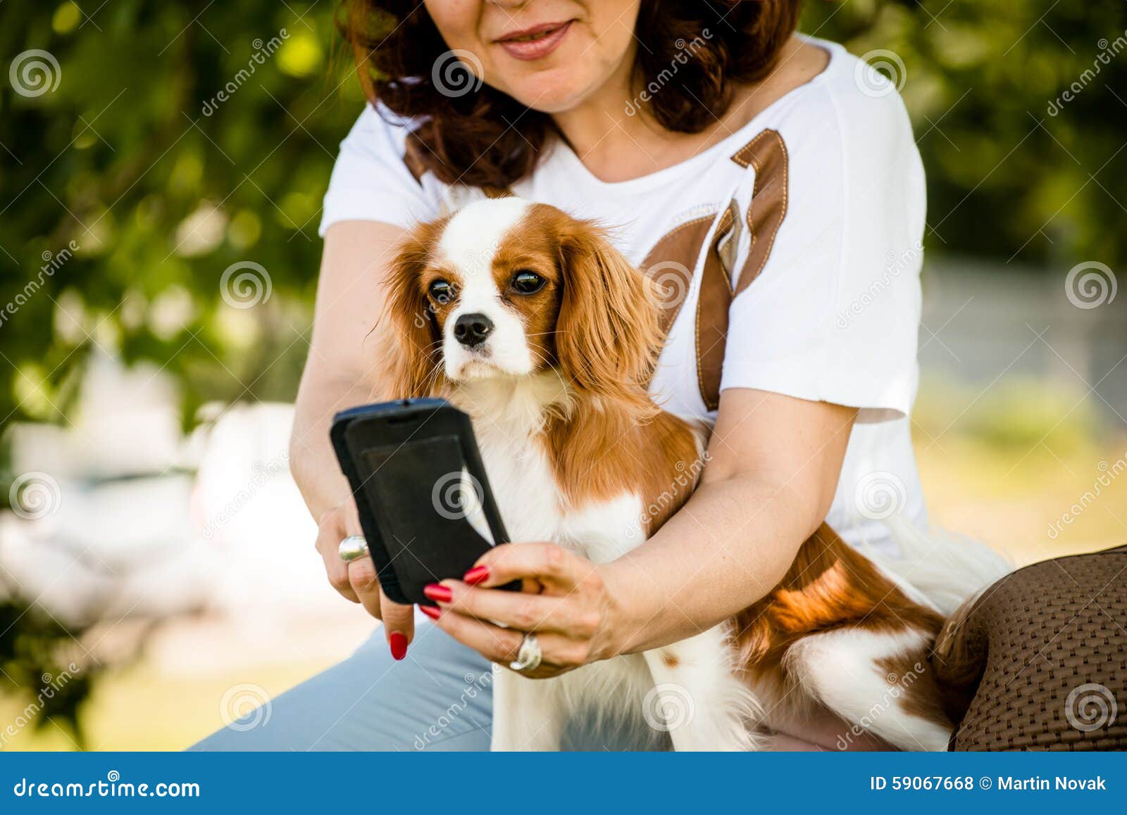 Vrouw, hond en mobiele telefoon. Rijpe vrouw die iets tonen aan haar arrogante hond op smartphone, openlucht in aard