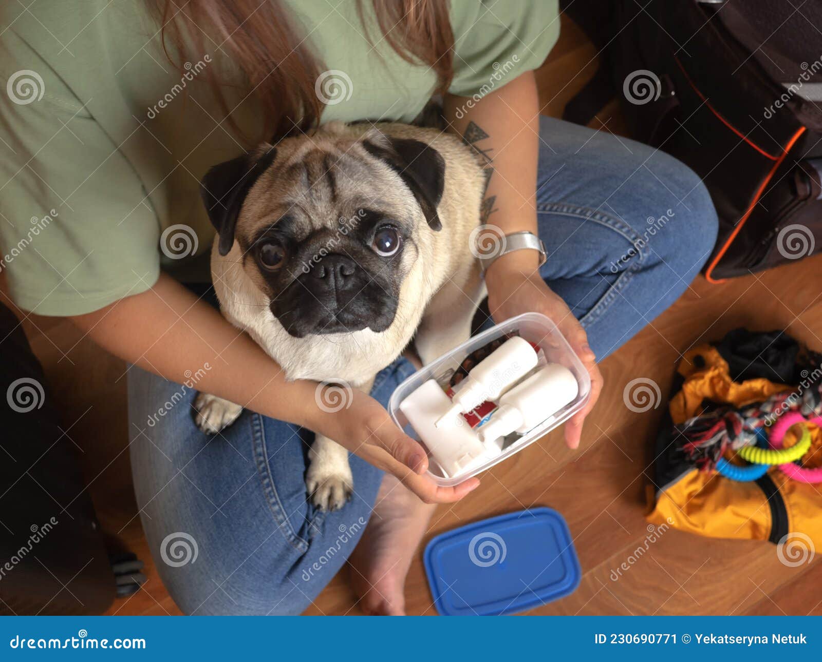 Almachtig Geboorte geven Omleiding Vrouw Verzamelt Geneesmiddelen in De EHBO-kit Voor Honden. Verpakking Voor  Reizen Met Huisdieren. Stock Afbeelding - Image of reizen, hond: 230690771