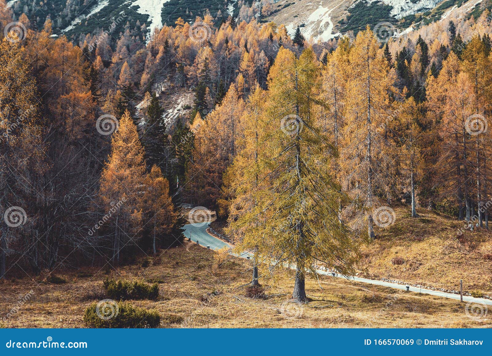 vrsic pass - alpine road in slovenia surrounded by colorful trees in autumn