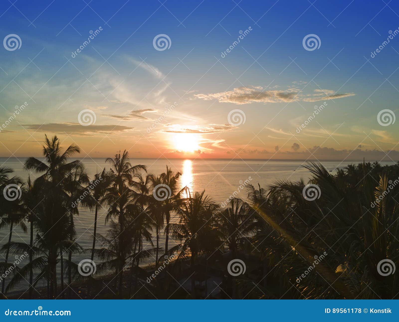 Vue Aérienne De Bourdon Sur Des Palmiers Et De La Mer Sur Un