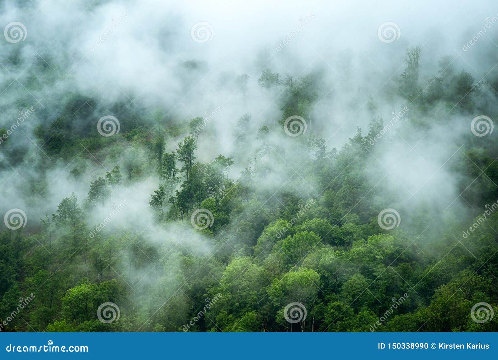 Vue au-dessus des collines vertes brumeuses. Collines vertes avec des arbres Un matin brumeux après une pluie d'été Paysage en Slovénie près de Tolmin