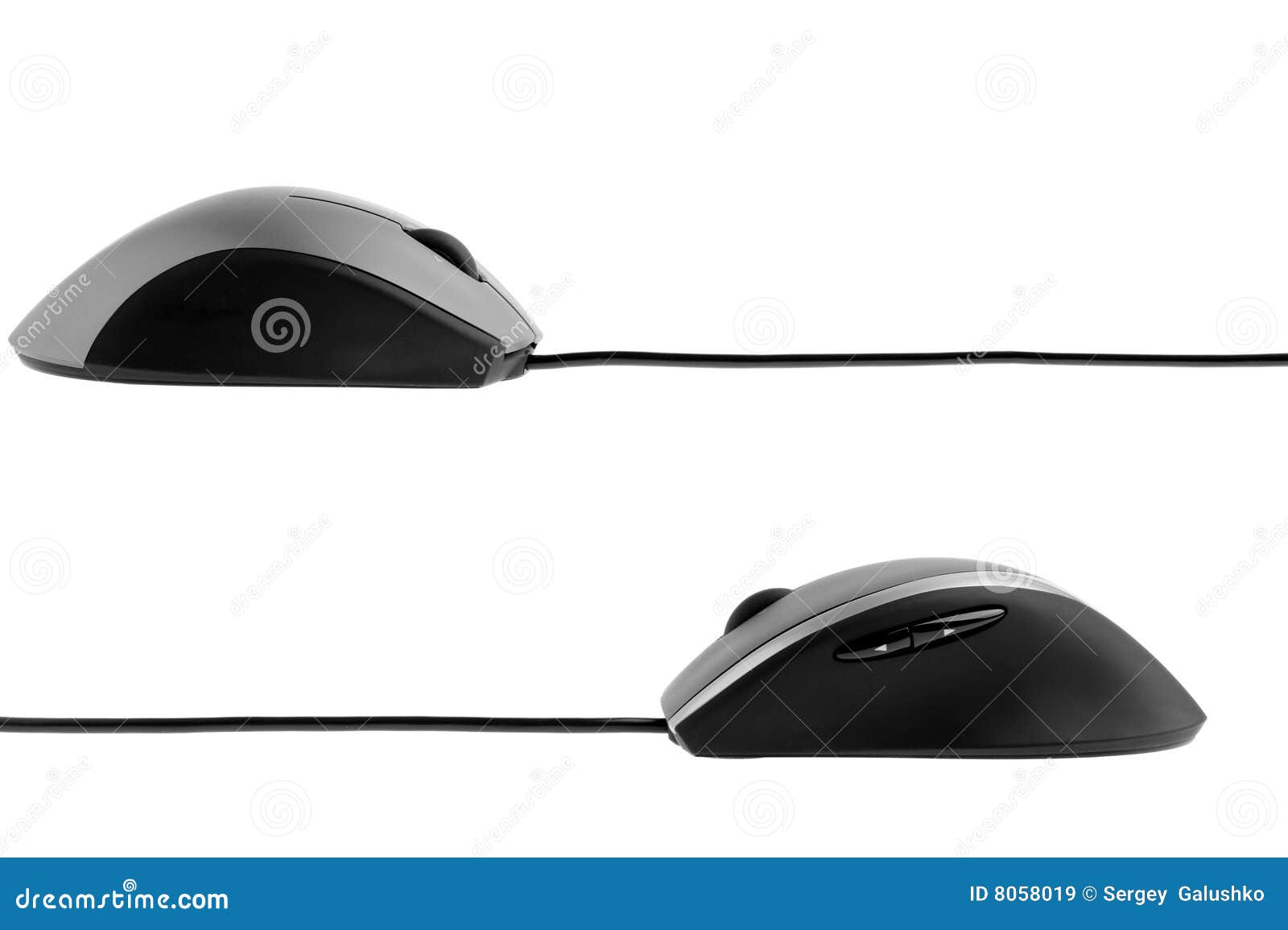 Vue De Profil De Souris D Ordinateur Image Stock Image Du Fond Bureau