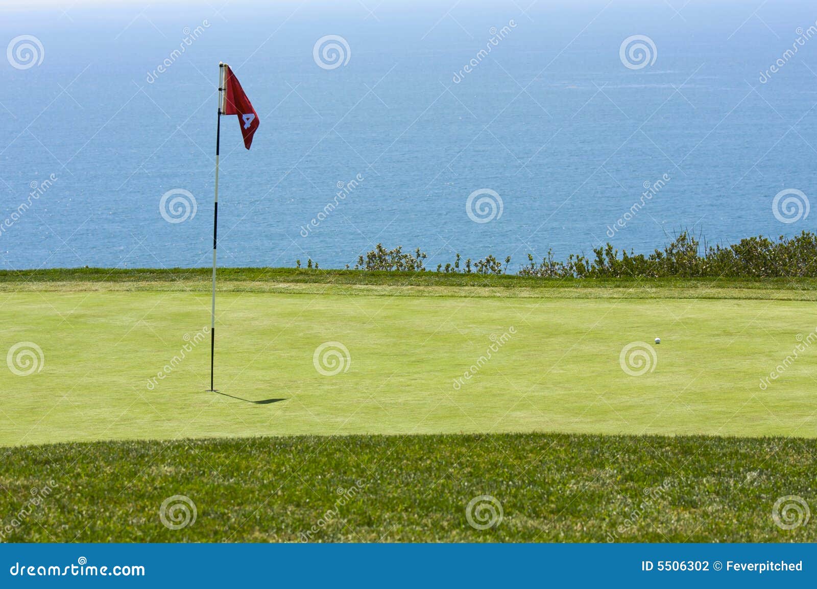 Vue De Terrain De Golf De Pins De Torrey Photo stock Image du horizon