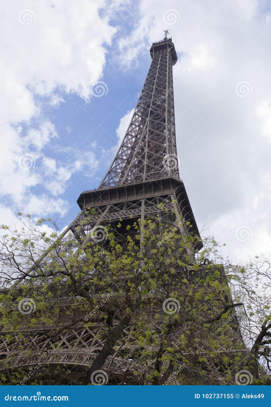 paris tour eiffel arbres