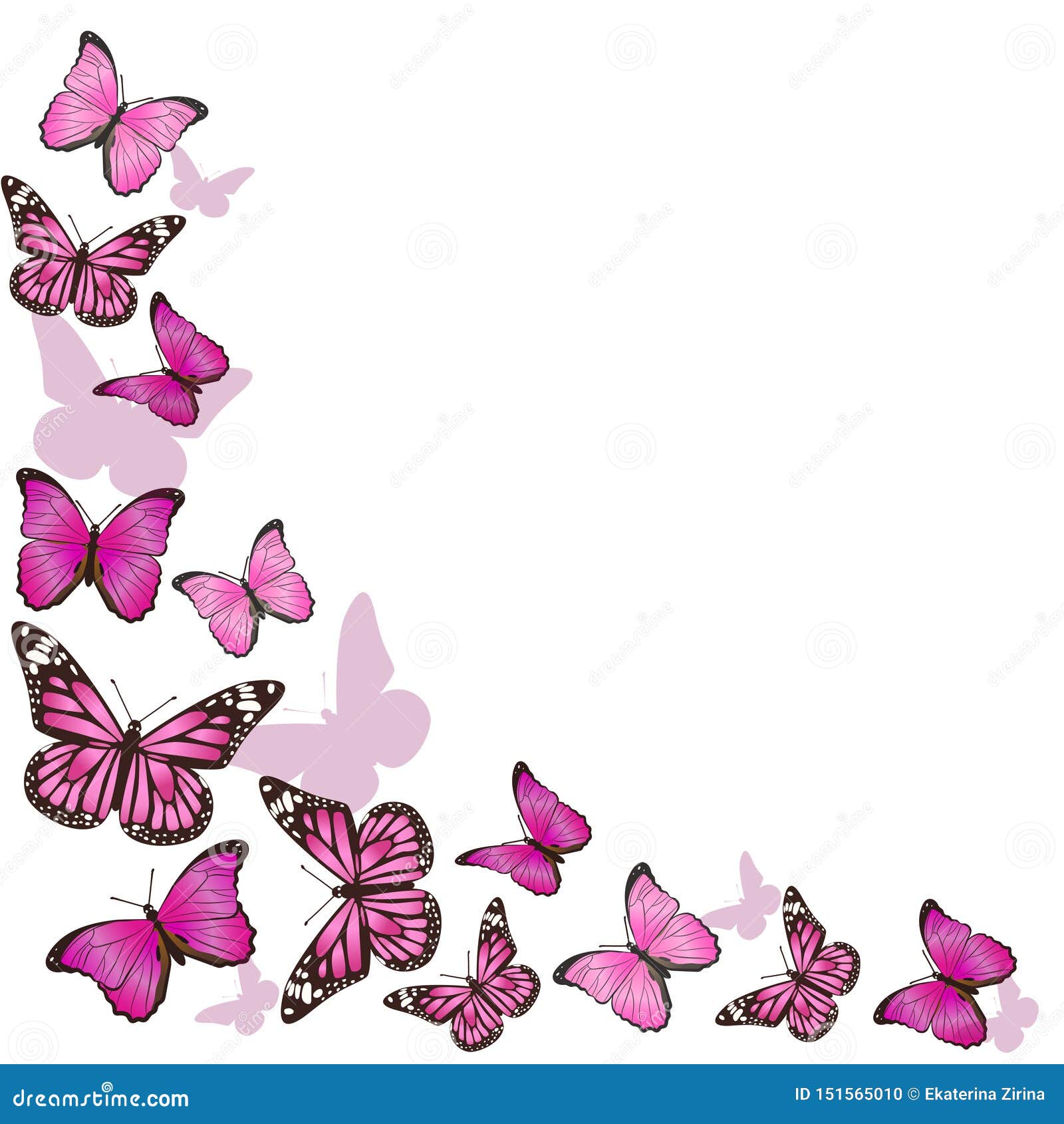 Vue Des Papillons Roses En Vol D Isolement Sur Le Fond Blanc Dessins De Vecteur Illustration Stock Illustration Du Trame Elegance Vue Des Papillons Roses En Vol D Isolement Sur Le Fond Blanc Dessins De Vecteur Illustration Stock Illustration Du Trame Elegance