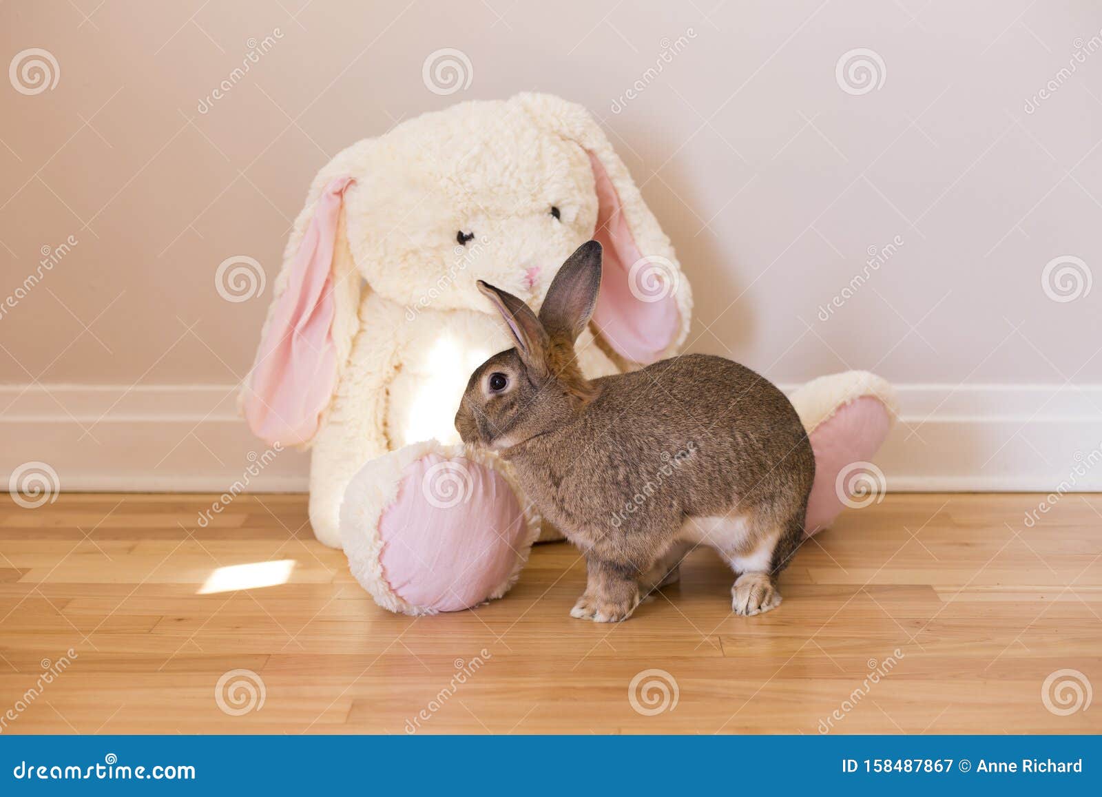 Lapin géant en peluche mignonne