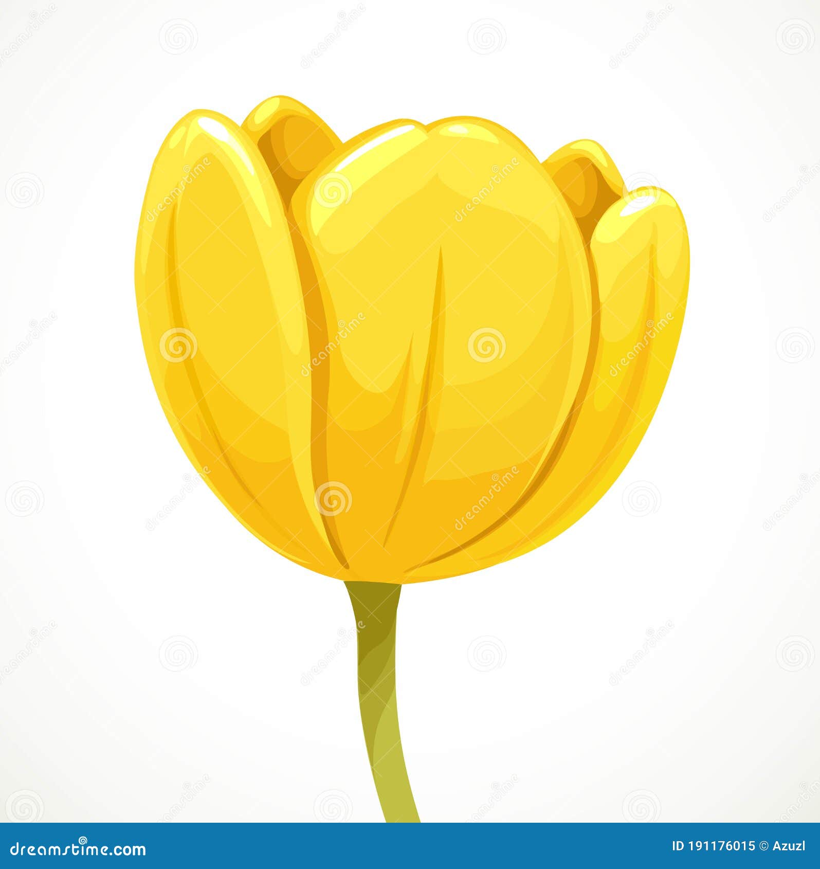 Vue Ouverte De Profil De Fleur De Tulipe Jaune Isolée Sur Le Blanc  Illustration de Vecteur - Illustration du fond, détail: 191176015