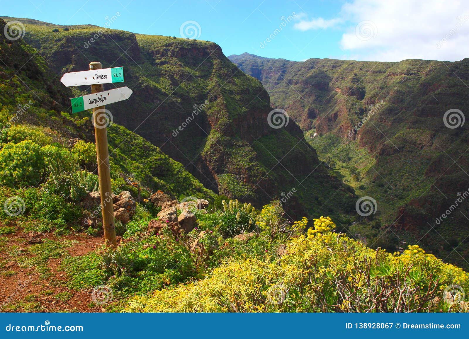 Vue Panoramique De L A A Espagne De Gran Canaria De Barranco De Guayadeque Des Iles Canaries Image Stock Image Du Oeil Falaises