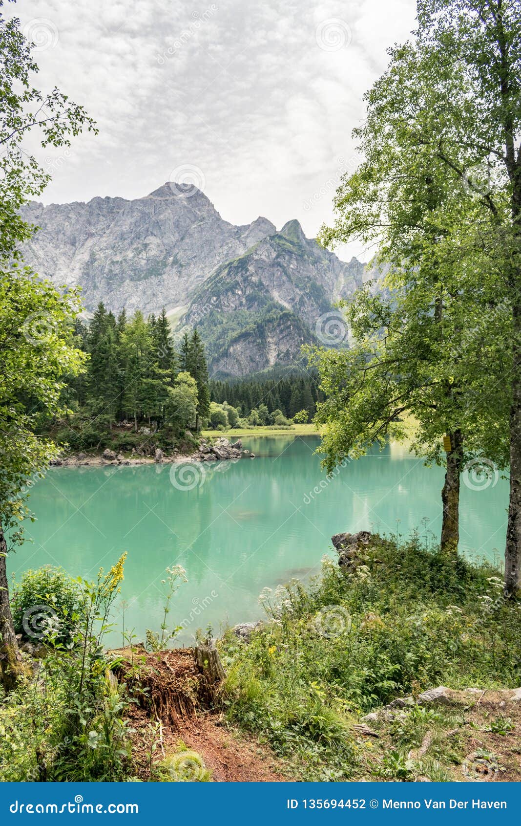 Vue Scenique D Un Lac Avec La Turquoise Ou De Couleur Verte En Italie Du Nord Est Pres De La Frontiere Slovene Photo Stock Image Du Frontiere Slovene