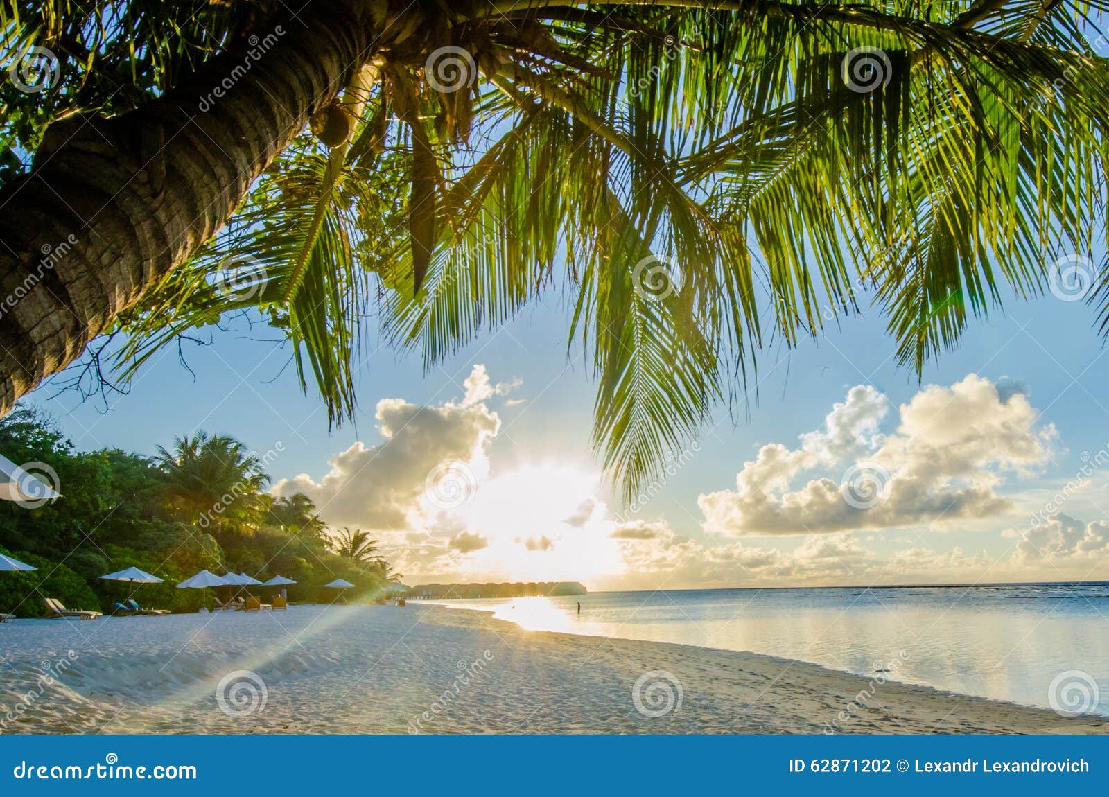 Vue tropicale de plage près de temps de coucher du soleil maldives