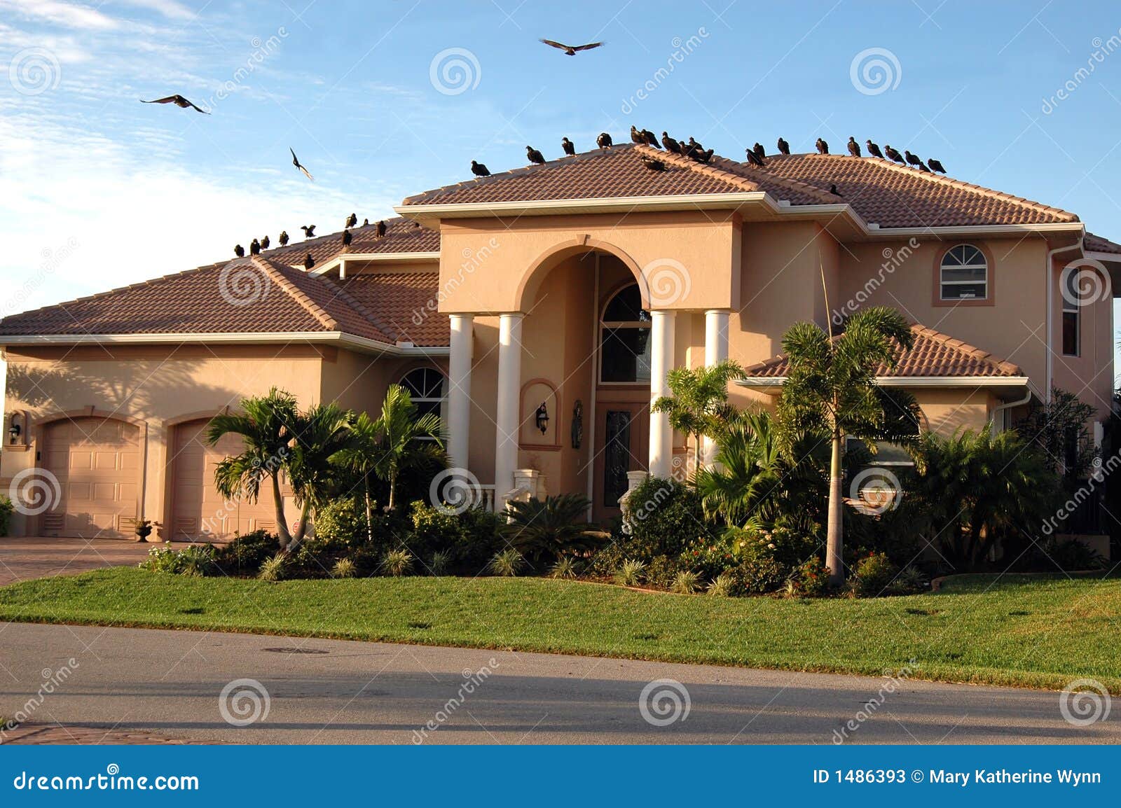 vultures on house (foreclosure)