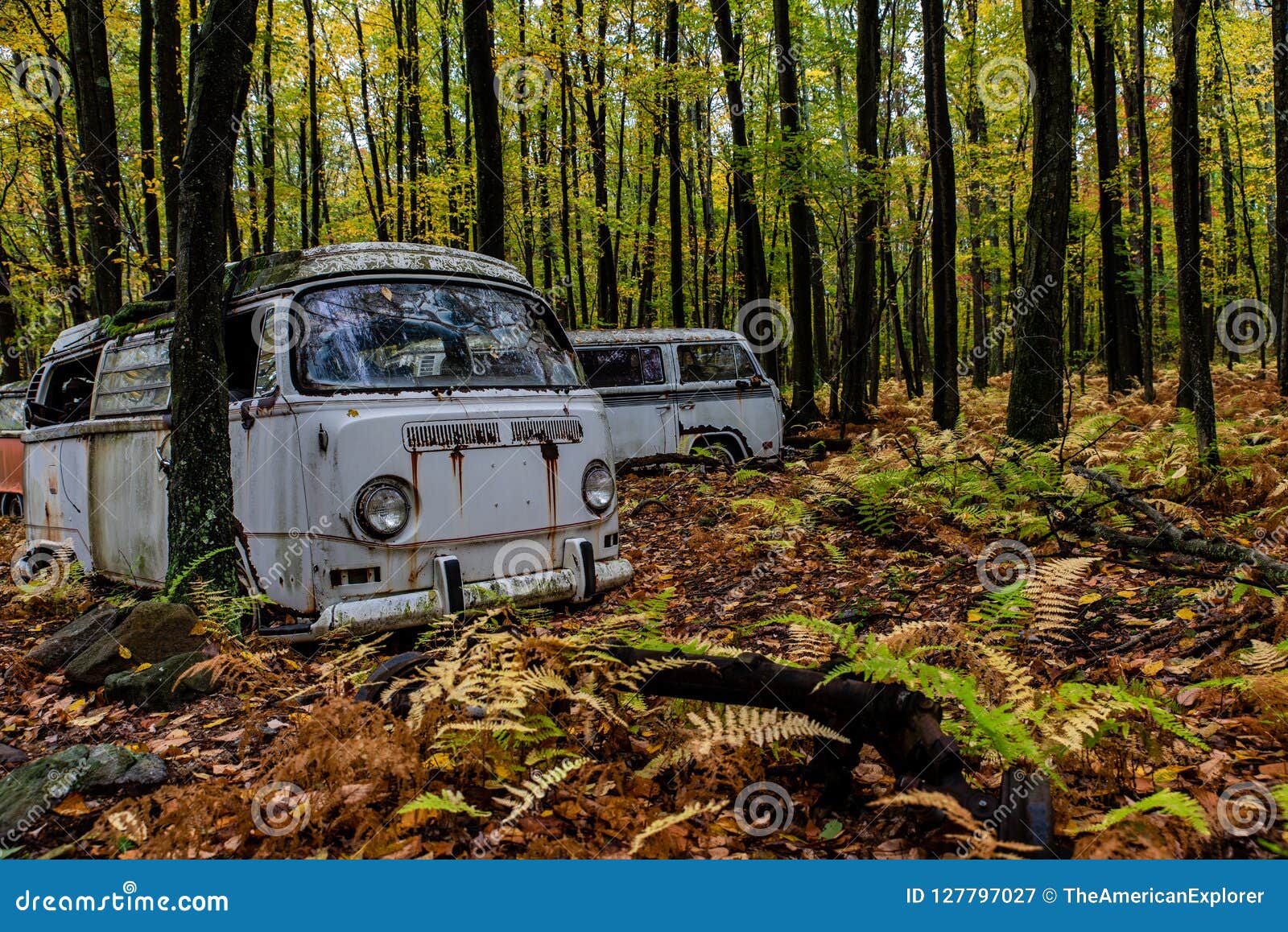 Vw Van Del Vintage Tipo Ii De Volkswagen Deposito De Chatarra De Pennsylvania Imagen De Archivo Imagen De Coche Abandono Vw Van Del Vintage Tipo Ii De Volkswagen Deposito De Chatarra De Pennsylvania Imagen De Archivo Imagen De Coche Abandono
