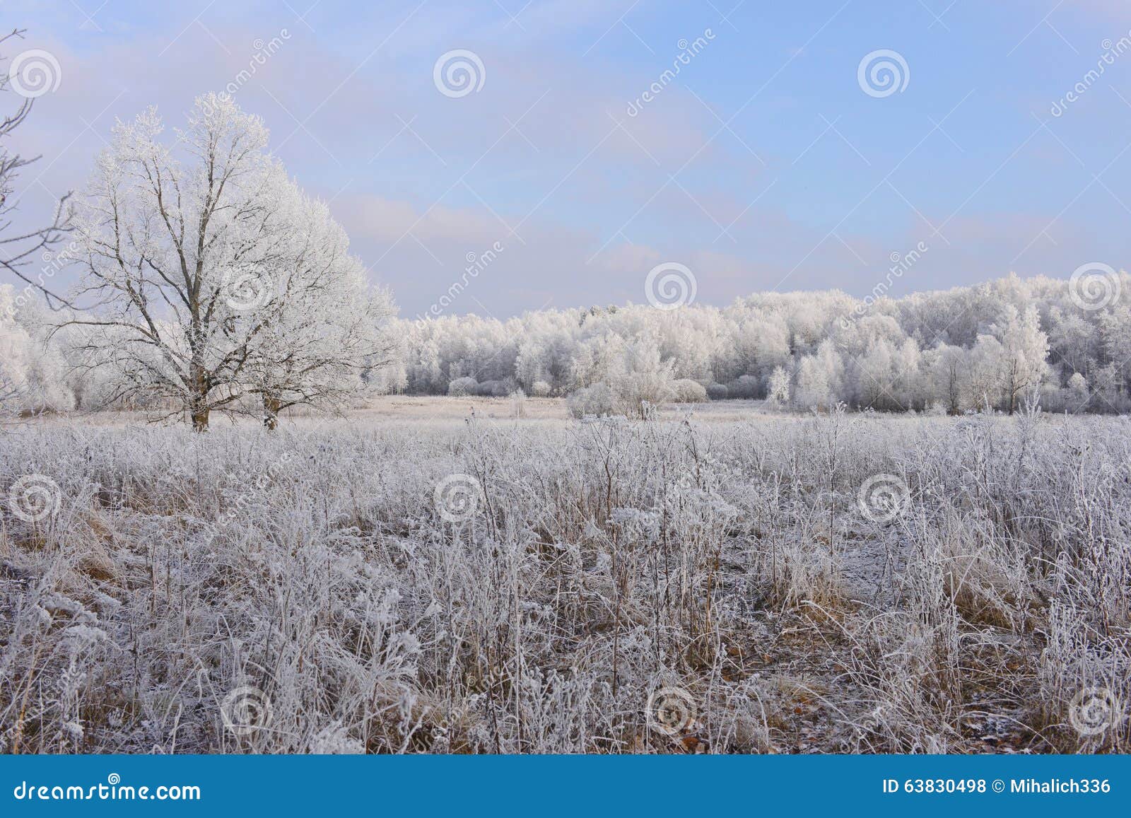 Vyazma. Late in the fall. stock photo. Image of fall - 63830498